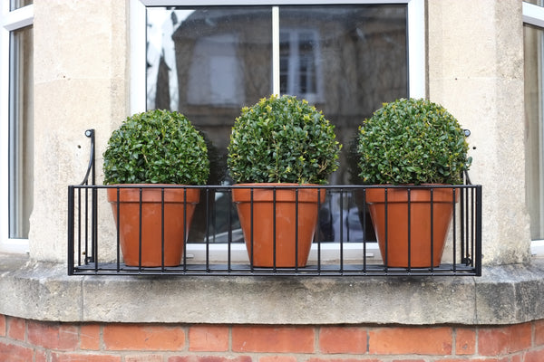 Classic Window Boxes from £89.00